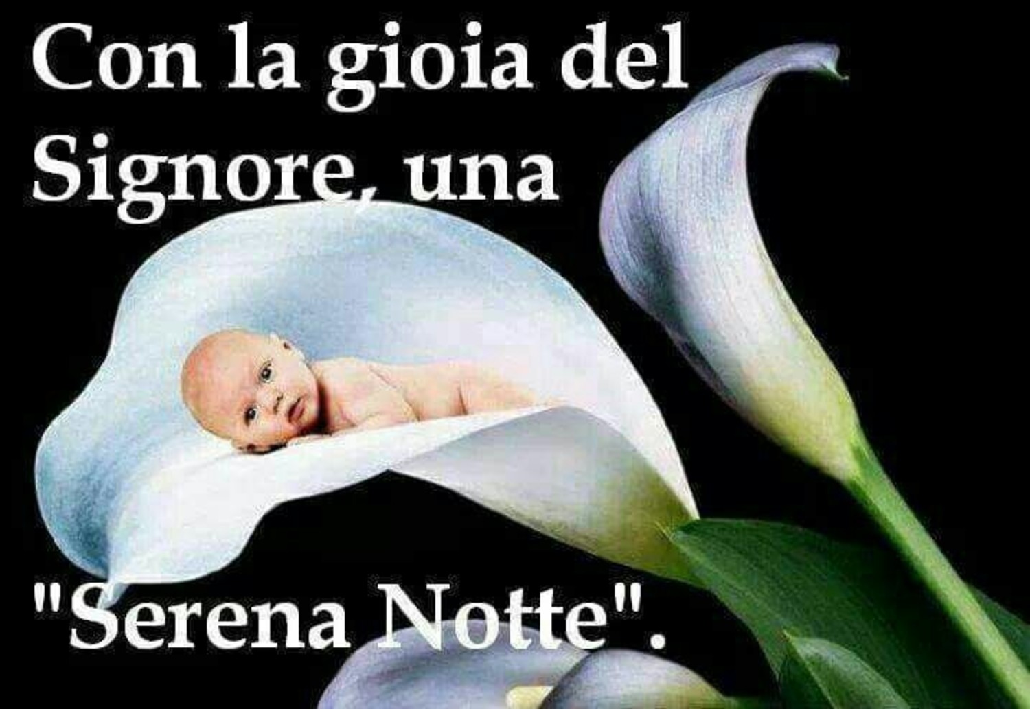 Buonanotte immagini cristiane 10391