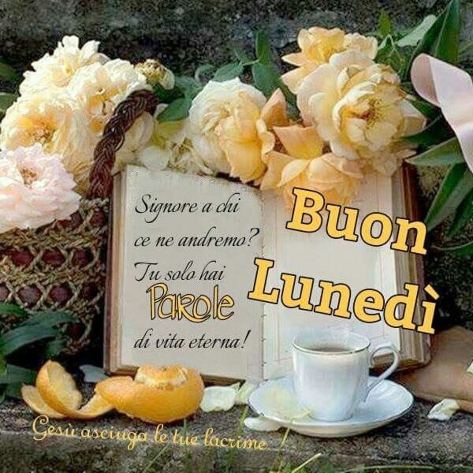 Buon Lunedi Per Gruppi Di Preghiera Buongiornocongesu It