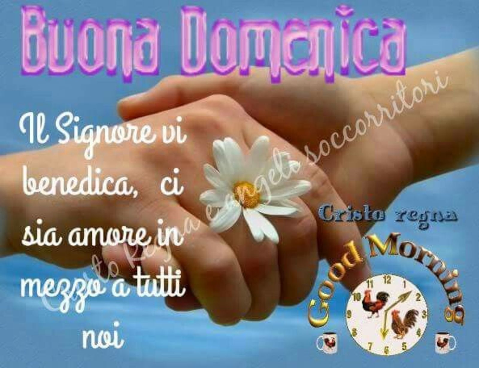 Buona Domenica il Signore vi benedica