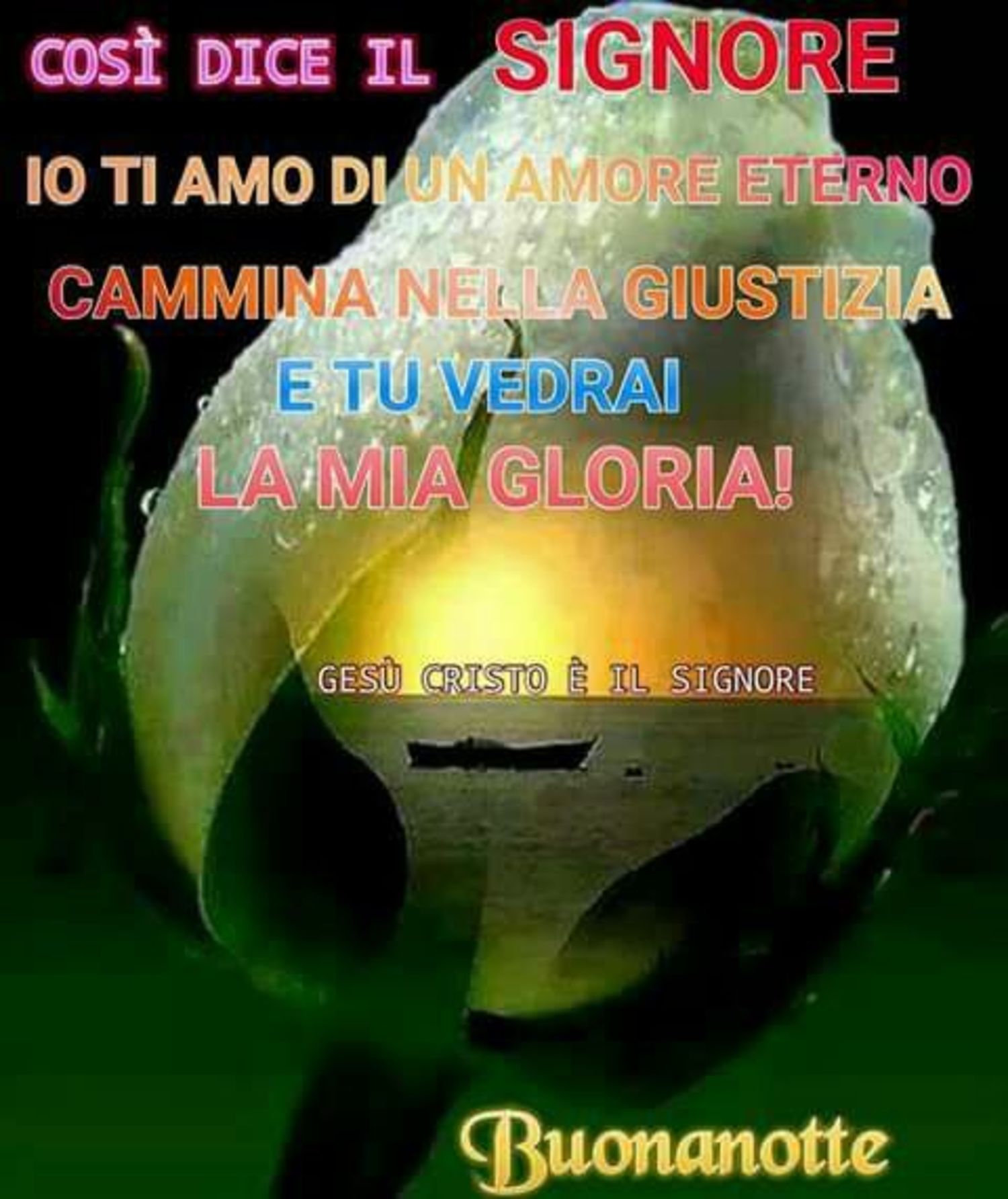 Buonanotte Amici Di Gesu Buongiornocongesu It